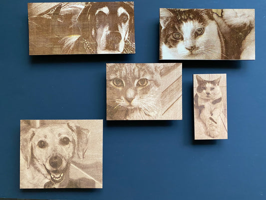 Pet Portraits Engraved on Wood