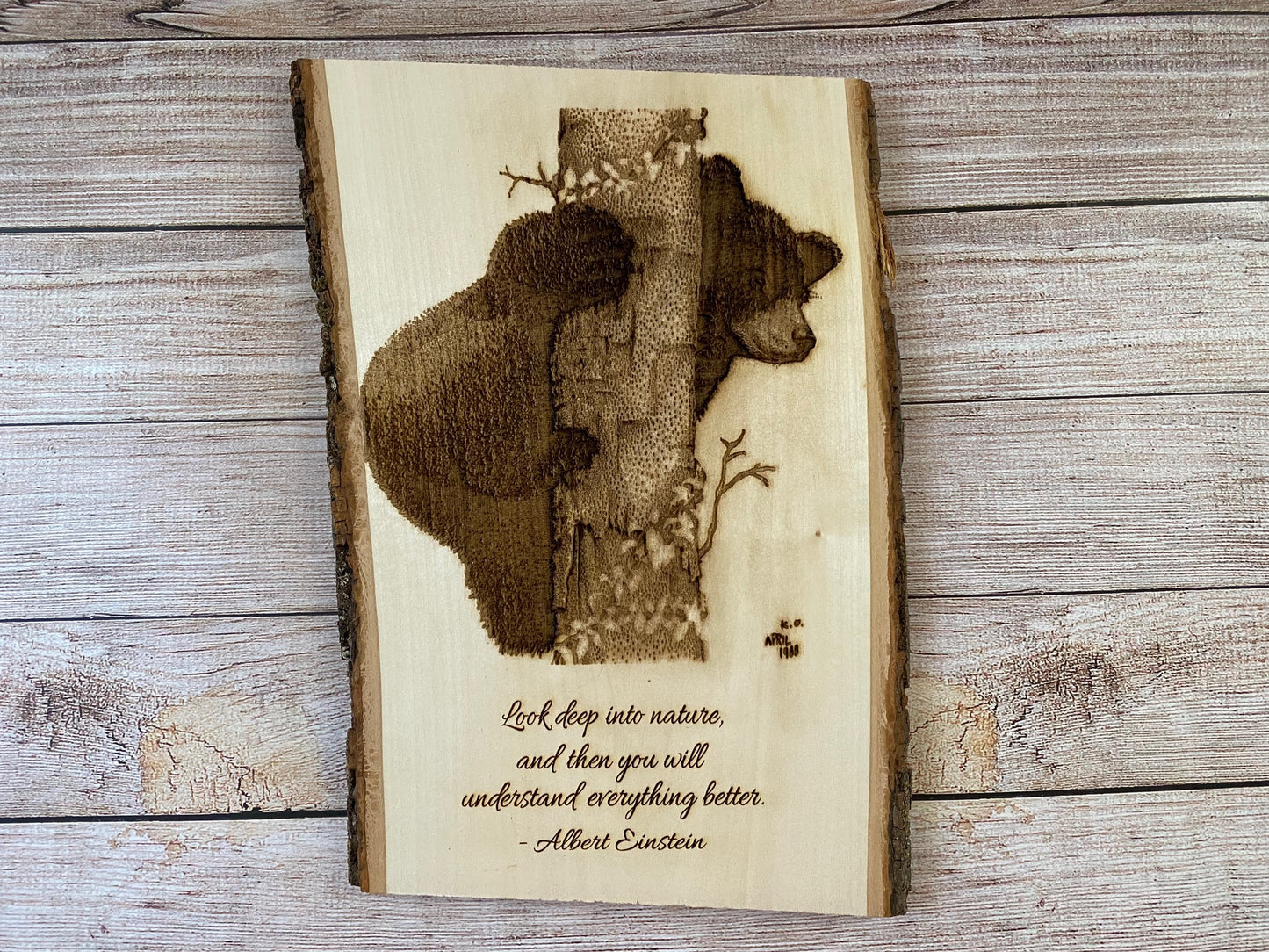 Live Edge Einstein Bear Cub Wall Art