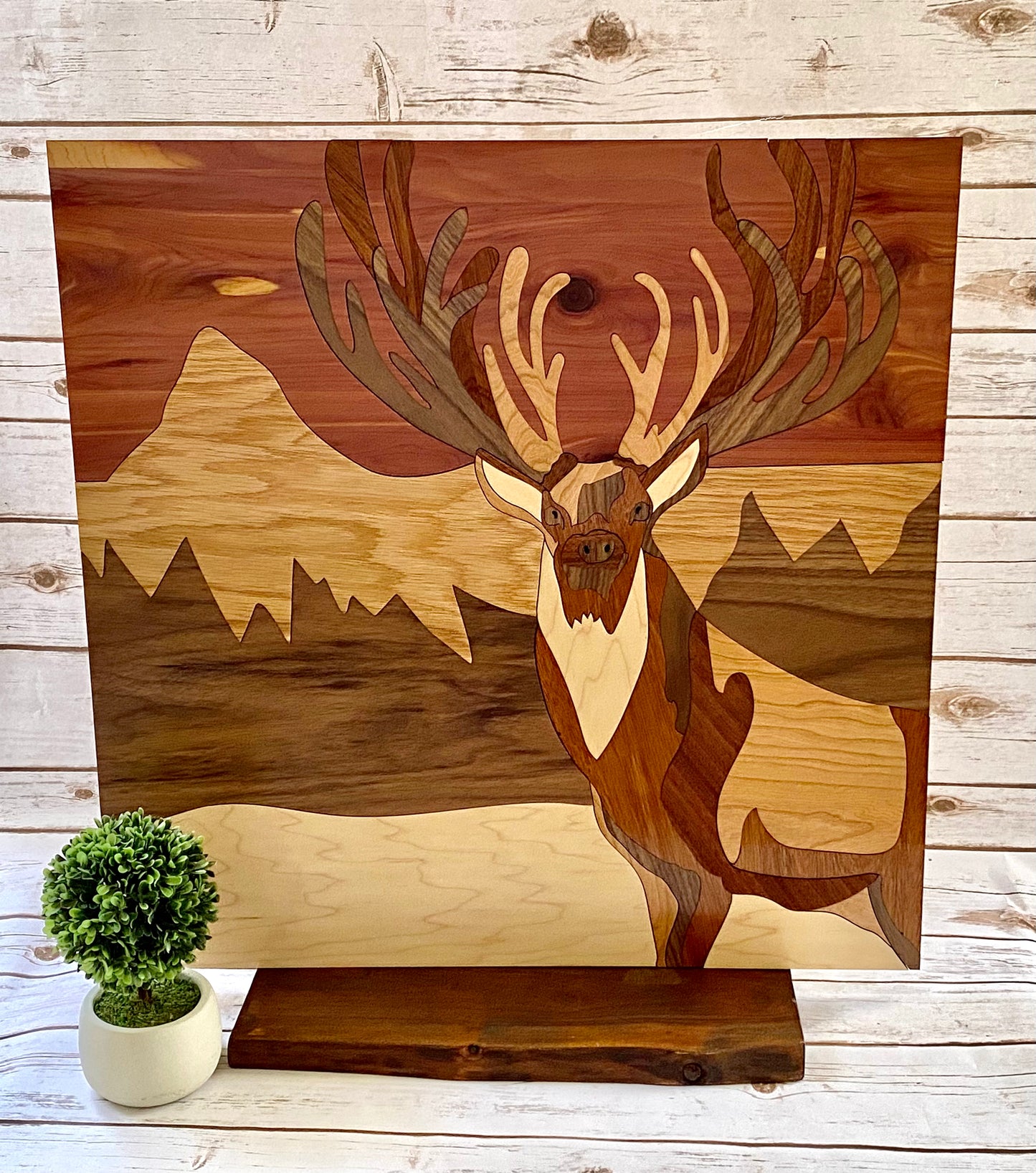 Stillness - a deer in the mountains