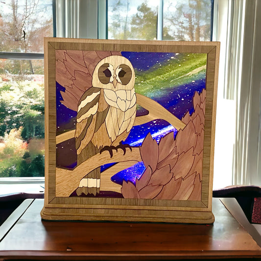 Table Top Owl Picture