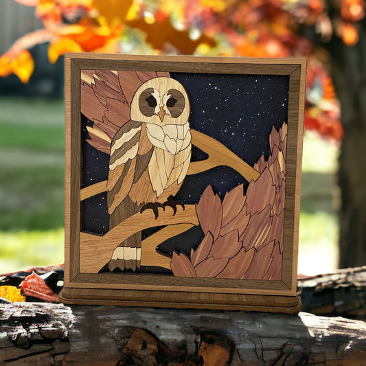 Table Top Owl Picture