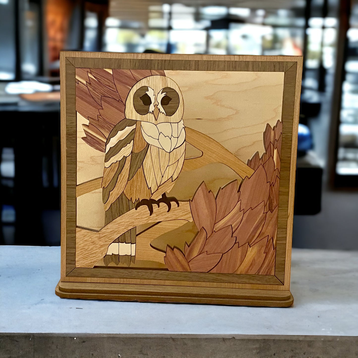 Table Top Owl Picture